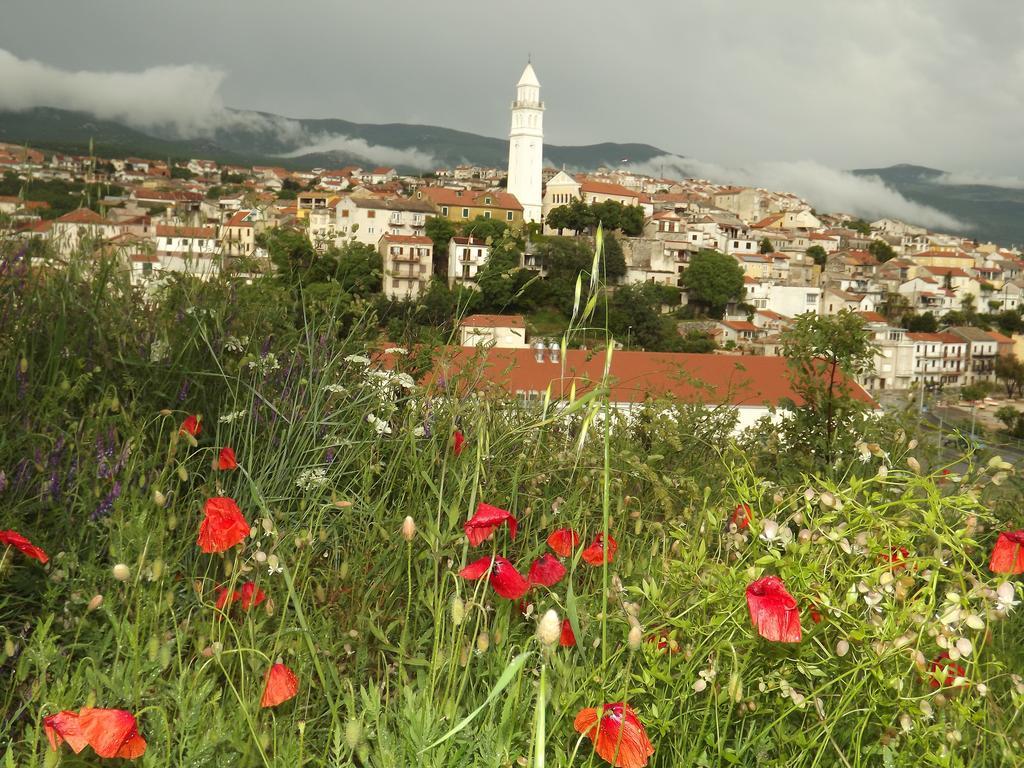 Maricic 200 Meters From The Apartment