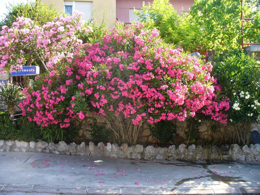Apartment Maricic 200 Meters From The Novi Vinodolski