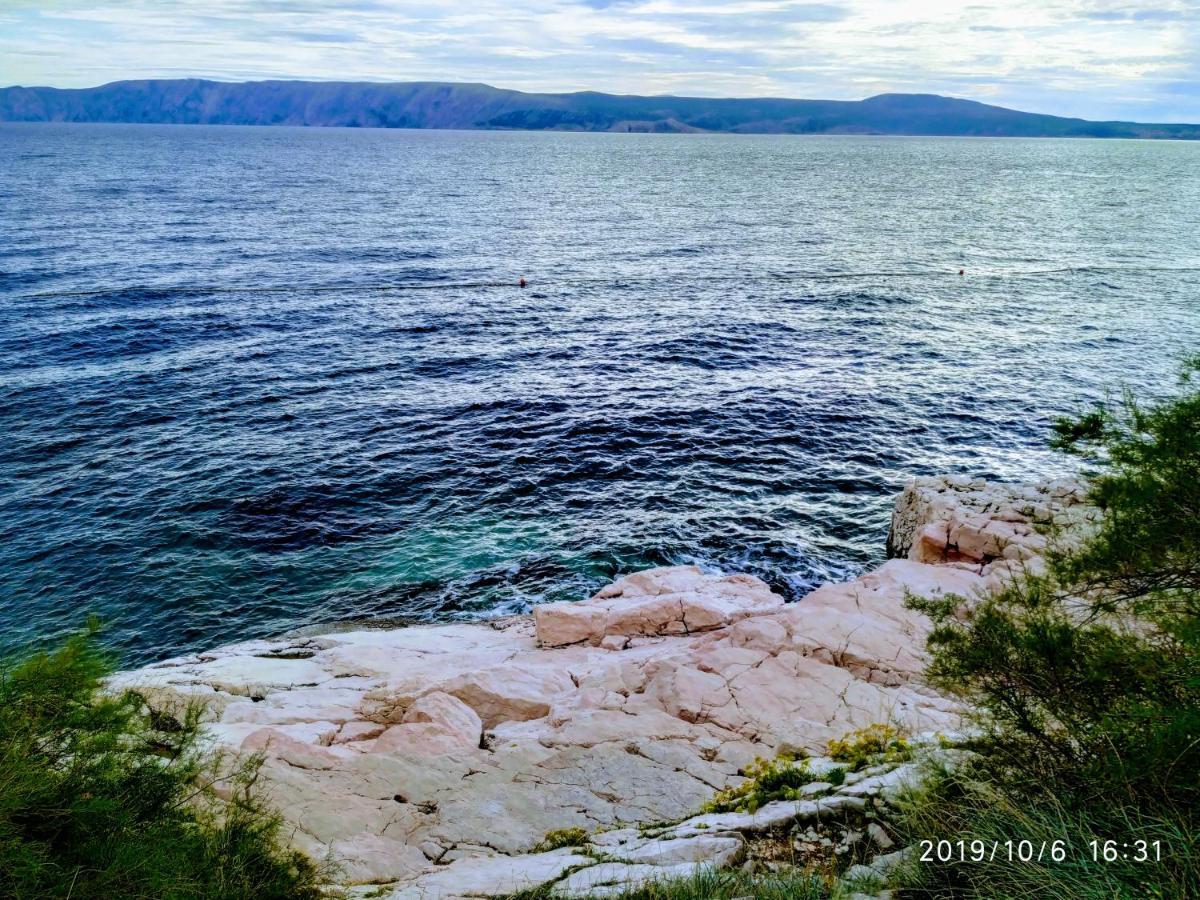 Maricic 200 Meters From The Apartment