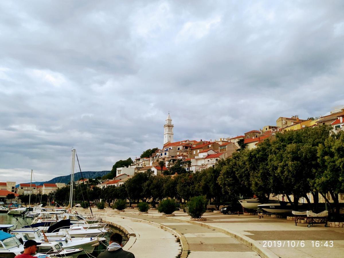 Maricic 200 Meters From The *